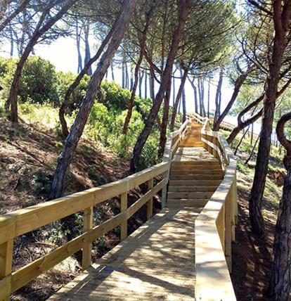 Beach,Surf, Hiking And More Maceira  Dış mekan fotoğraf